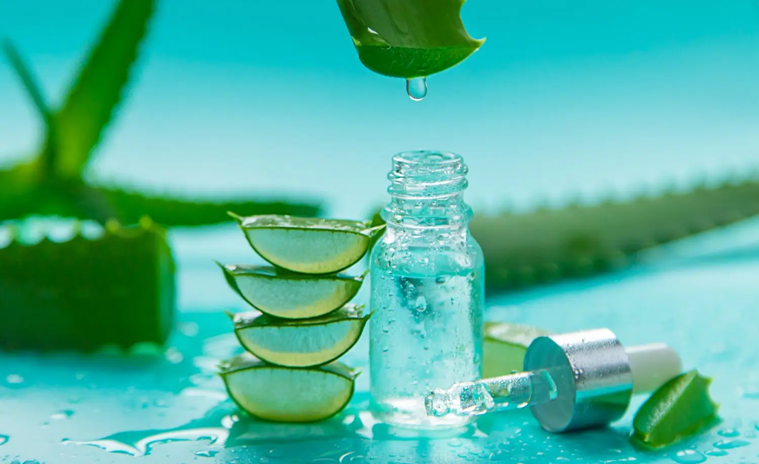 Naturalne serum z aloesu meksykańskiego: właściwości