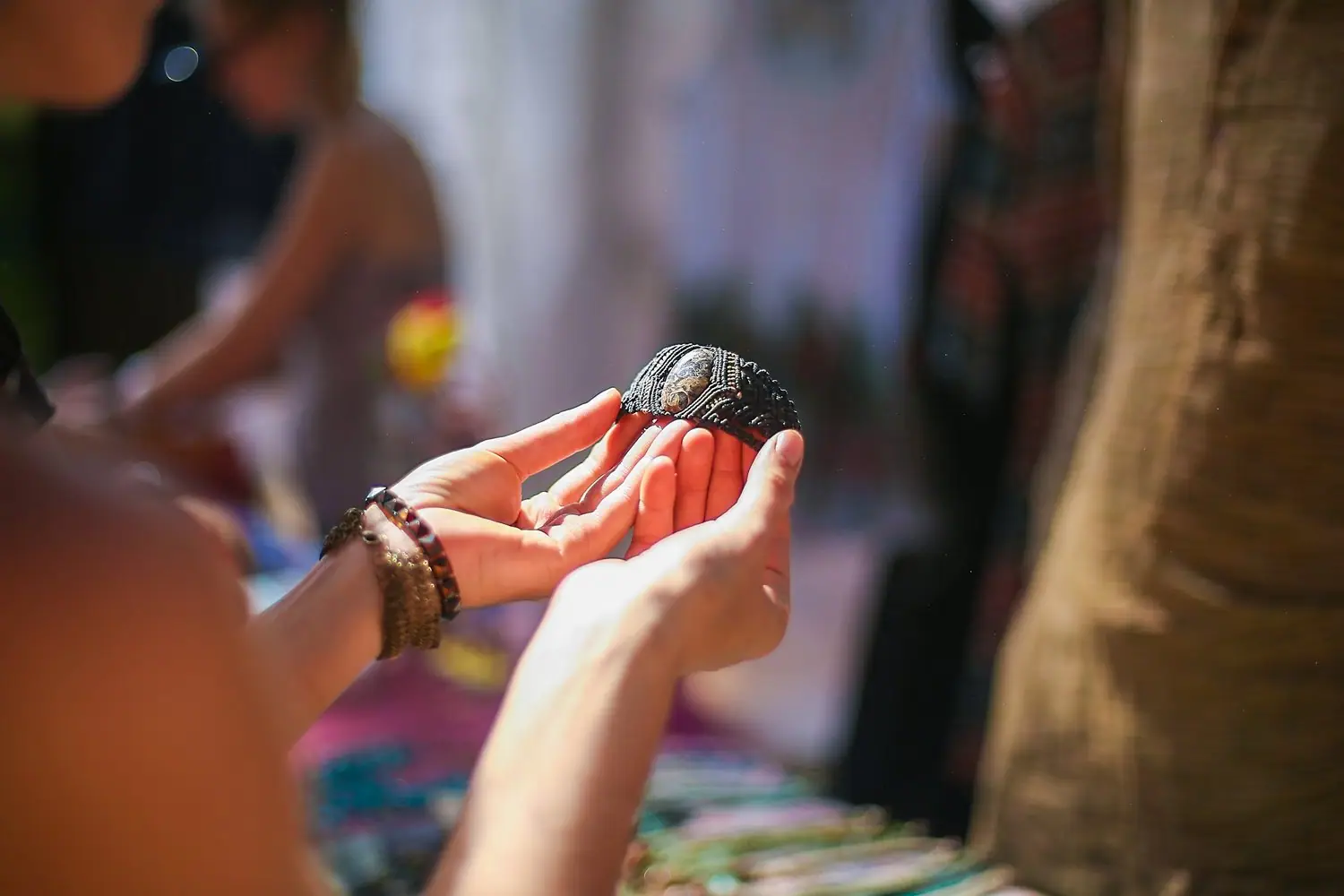 Święto Agawy: festiwal tradycji i smaków